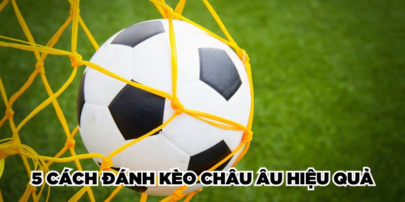  5 cách đánh kèo châu Âu hiệu quả