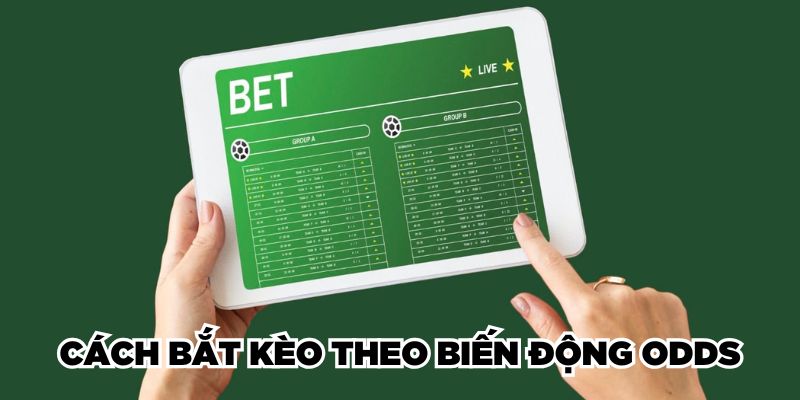 Cách bắt kèo theo biến động Odds