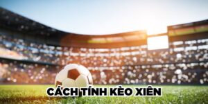Cách Tính Kèo Xiên Chuẩn Chỉnh, Dễ Hiểu Cho Tân Binh