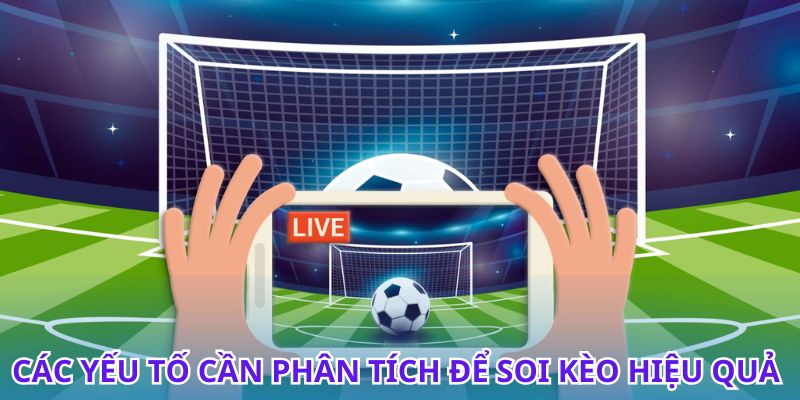 Học cách làm kèo bóng đá chính xác để tối ưu lợi nhuận