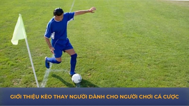 Giới thiệu kèo dành cho người chơi cá cược