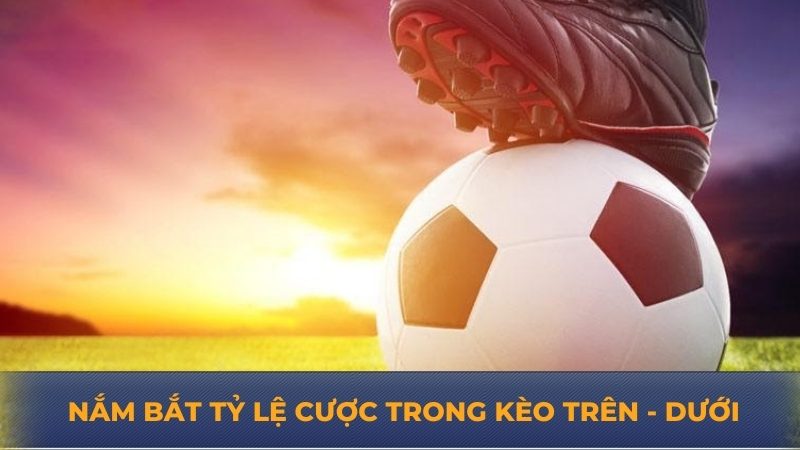 Nắm bắt tỷ lệ cược trong kèo trên - dưới