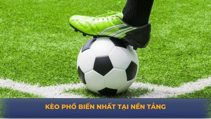 Kèo phổ biến nhất tại nền tảng