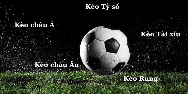 Đa dạng kèo cược được cung cấp