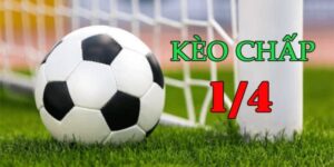 Kèo 1/4 - Hướng Dẫn Cách Tham Gia Và Kinh Nghiệm Cược