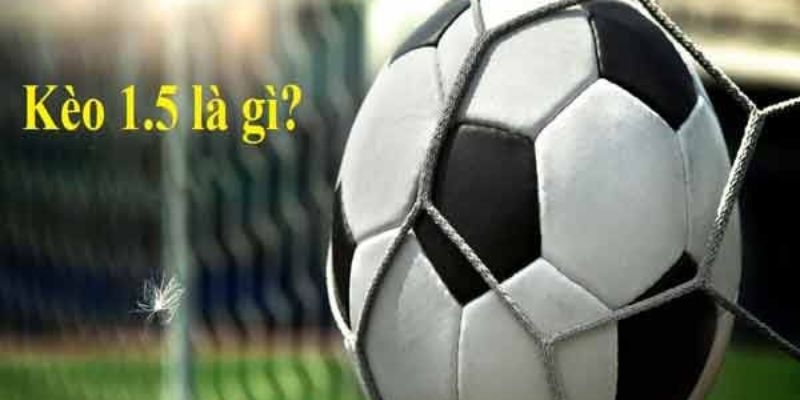Giải thích cho người mới về kèo chấp 1.5