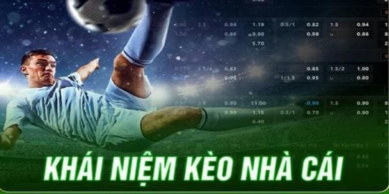 Kiến thức cơ bản về phân tích kèo nhà cái