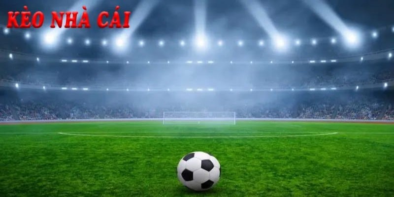Mẹo nhận định kèo nhà cái nâng cao hiệu quả