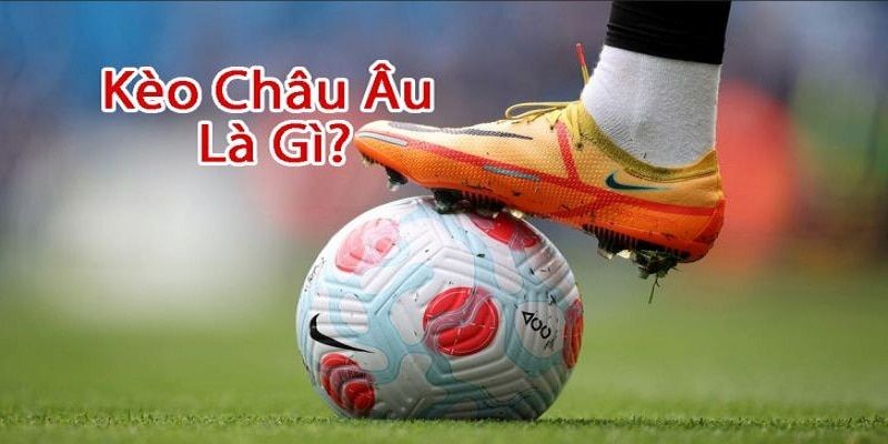 Quy định cơ bản về cược châu Âu cần nắm