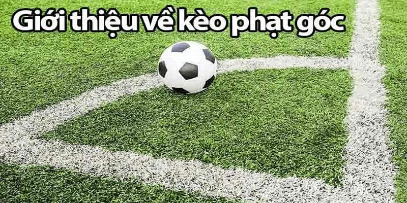 Tóm lược về kèo góc - loại hình chốt cược đặc biệt