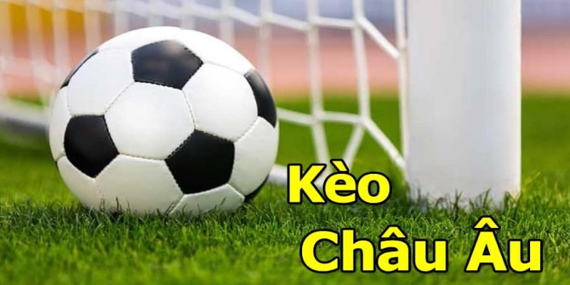 Thông tin giới thiệu về kèo cược cho hội viên