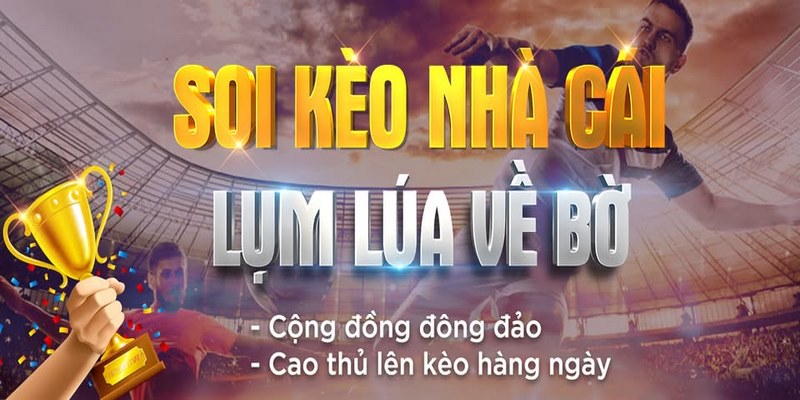Soi kèo nhà cái 88 - điểm hẹn cá cược chính thống