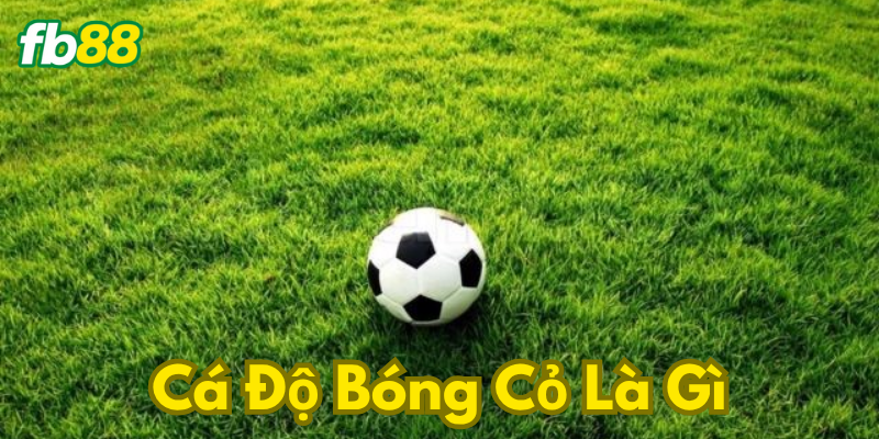 Định nghĩa cá độ bóng cỏ là gì?