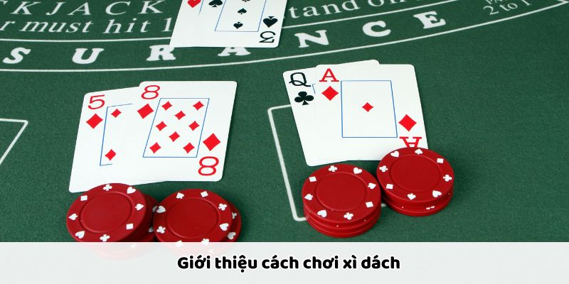 Hướng dẫn cách chơi xì dách chi tiết dễ hiểu cho người mới