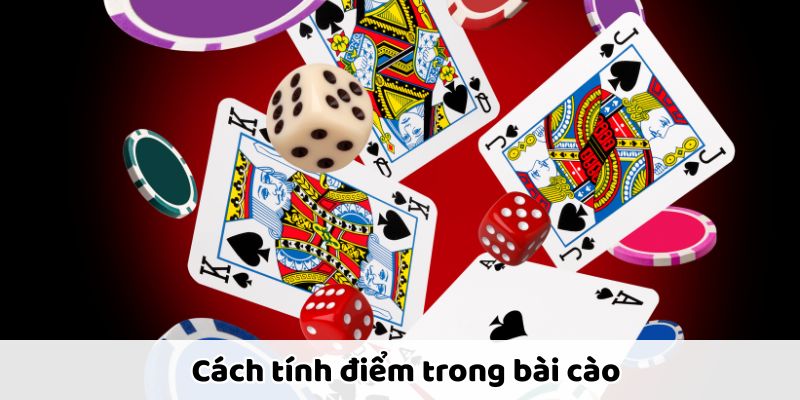 Hướng dẫn chi tiết cách tính điểm chuẩn xác trong bài cào