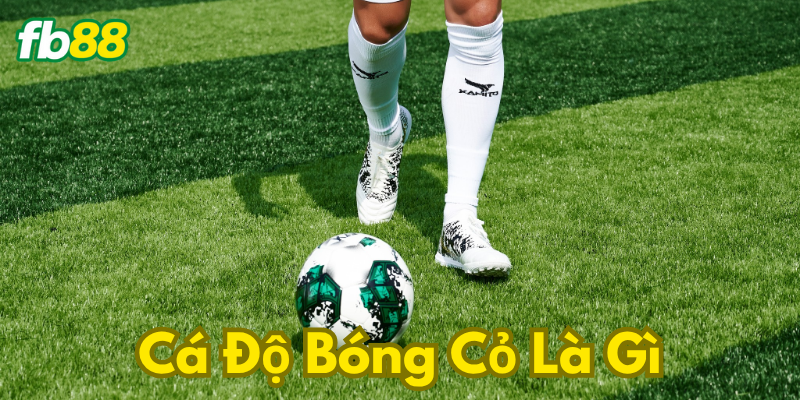 Những kèo thịnh hành được dân cược biết đến