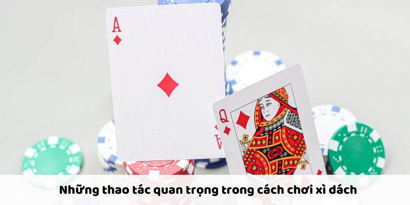 Thao tác chia, rút, dằn bài đúng cách giúp chơi xì dách hiệu quả