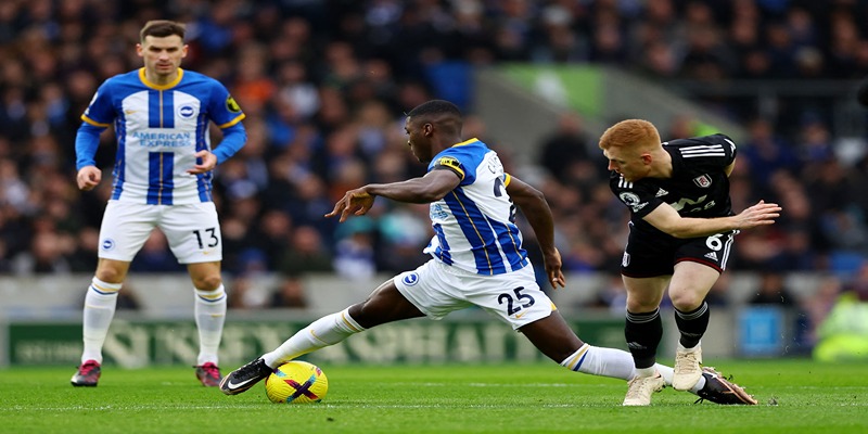 Lịch Sử Đối Đầu Giữa Brighton & Hove Albion vs Fulham Và Các Con Số Thống Kê