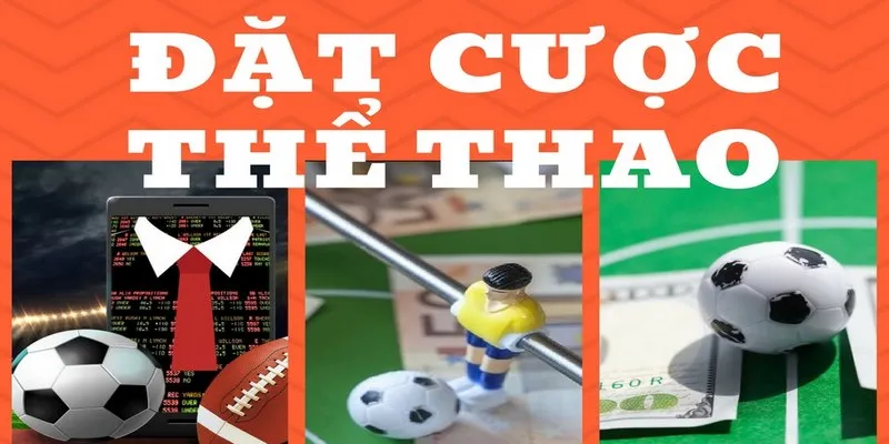 Các môn thể thao mô phỏng được yêu thích nhất