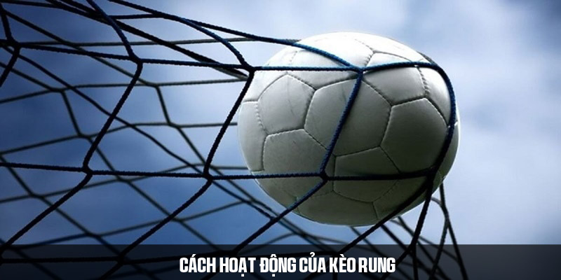 Hé lộ cách đánh kèo rung toàn thắng không thua