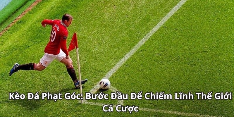 Các loại hình kèo phạt góc sẽ khiến bạn phấn khích