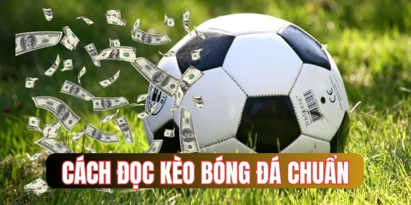 Vì sao tân thủ FB88 cần nắm cách đọc kèo bóng đá?