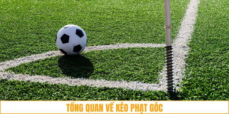 Những điểm lợi khi tham gia kèo phạt góc tại FB88