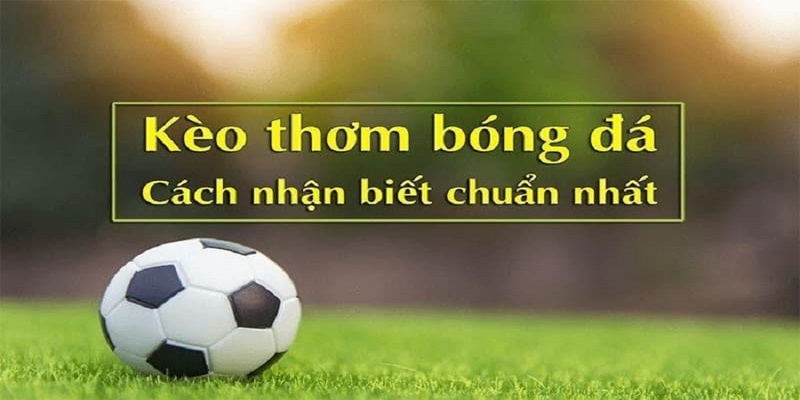 Dấu hiệu dự đoán kèo thơm bóng đá