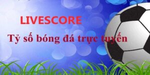 Ưu Điểm Khi Kết Quả Bóng Đá Trực Tuyến Livescore