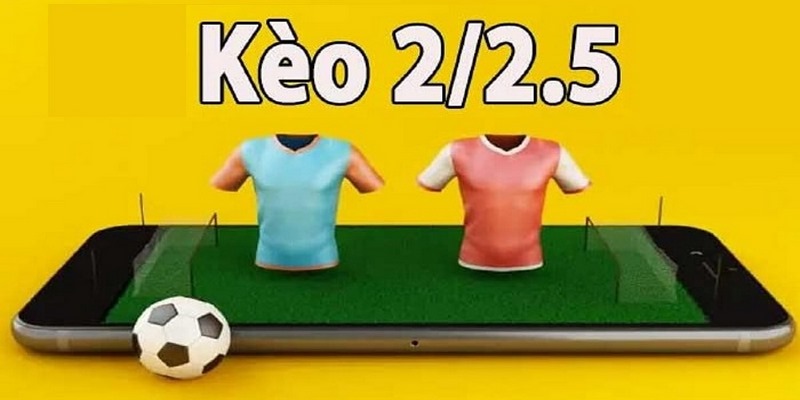 Những lưu ý bet thủ cần nhớ khi chơi kèo 2/2.5