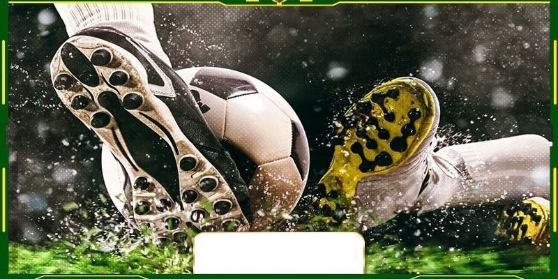 Vì sao nên cập nhật tỷ số mỗi ngày?