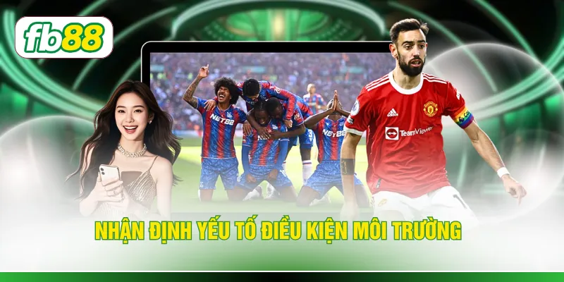 Nhận định yếu tố điều kiện môi trường