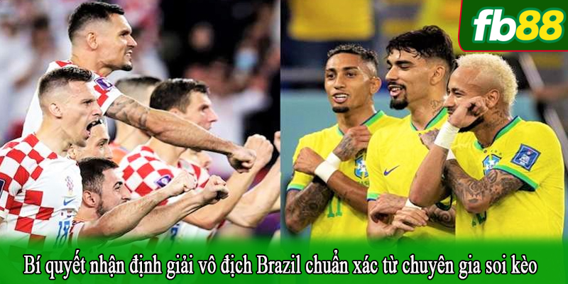 Bí quyết nhận định giải vô địch Brazil chuẩn xác từ chuyên gia soi kèo