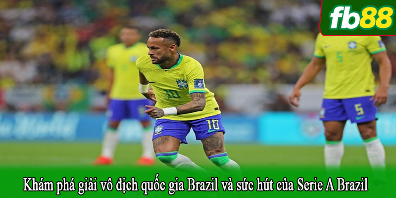 Khám phá giải vô địch quốc gia Brazil và sức hút của Serie A Brazil