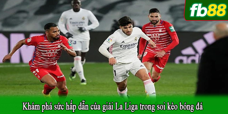 Khám phá sức hấp dẫn của giải La Liga trong soi kèo bóng đá
