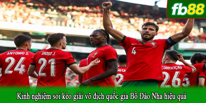 Kinh nghiệm soi kèo giải vô địch quốc gia Bồ Đào Nha hiệu quả