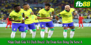 Nhận định giải vô địch Brazil