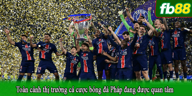 Toàn cảnh thị trường cá cược bóng đá Pháp đang được quan tâm