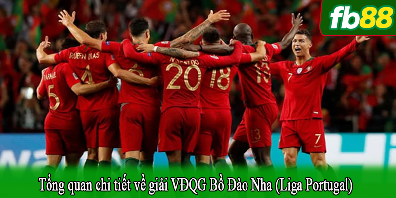 Tổng quan chi tiết về giải VĐQG Bồ Đào Nha (Liga Portugal)