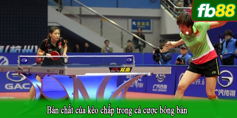 Bản chất của kèo chấp trong cá cược bóng bàn