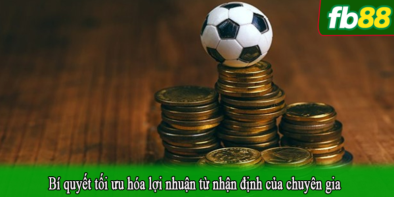 Bí quyết tối ưu hóa lợi nhuận từ nhận định của chuyên gia