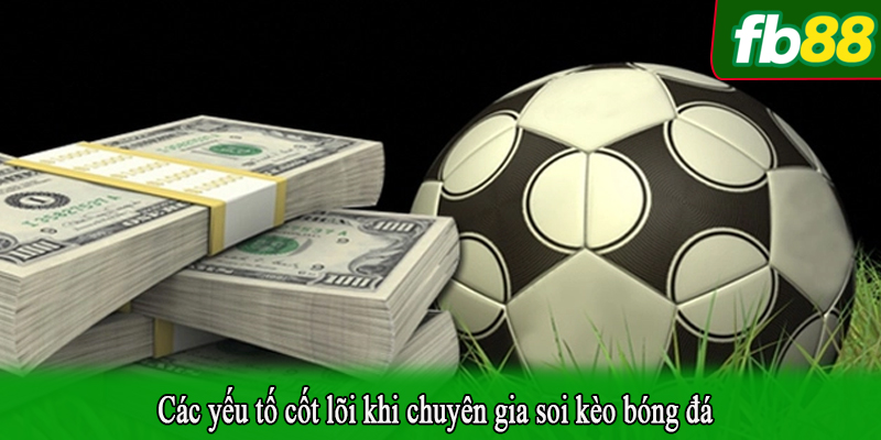 Các yếu tố cốt lõi khi chuyên gia soi kèo bóng đá