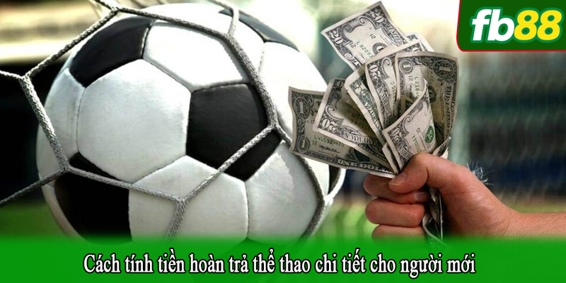 Cách tính tiền hoàn trả thể thao chi tiết cho người mới