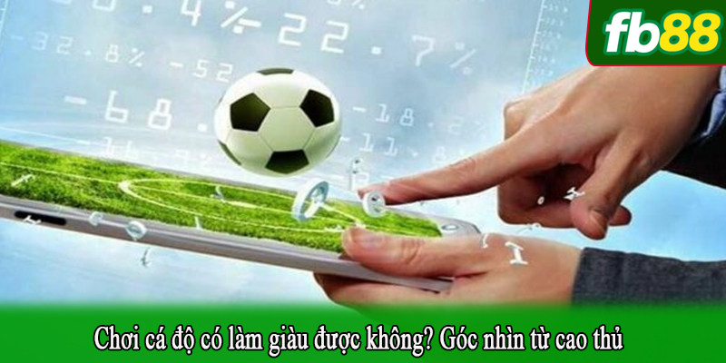 Chơi cá độ có làm giàu được không? Góc nhìn từ cao thủ
