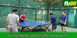 Kèo chấp bóng bàn