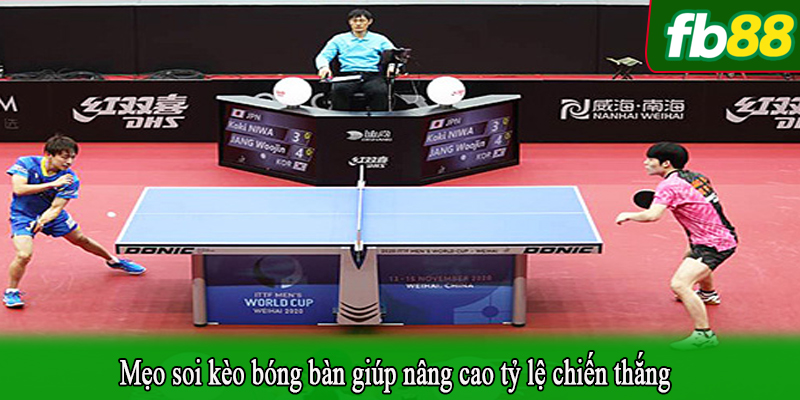 Mẹo soi kèo bóng bàn giúp nâng cao tỷ lệ chiến thắng