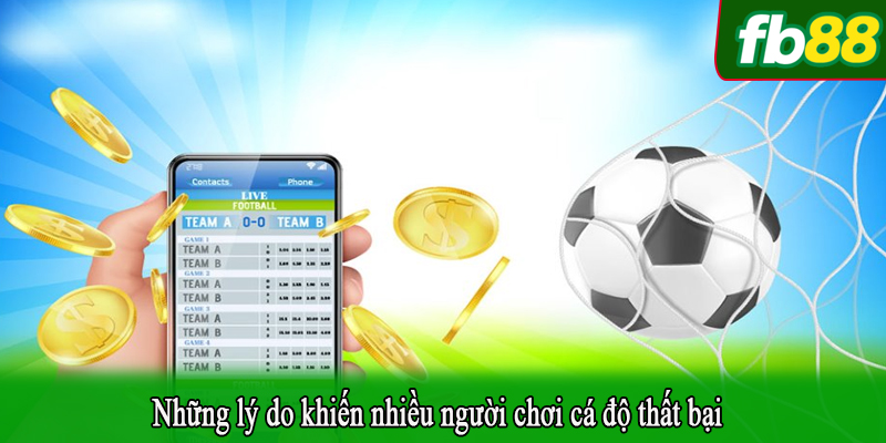 Những lý do khiến nhiều người chơi cá độ thất bại