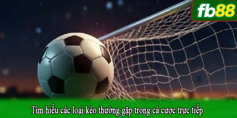 Tìm hiểu các loại kèo thường gặp trong cá cược trực tiếp