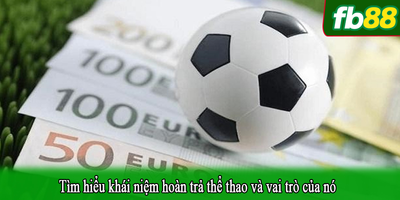 Tìm hiểu khái niệm hoàn trả thể thao và vai trò của nó