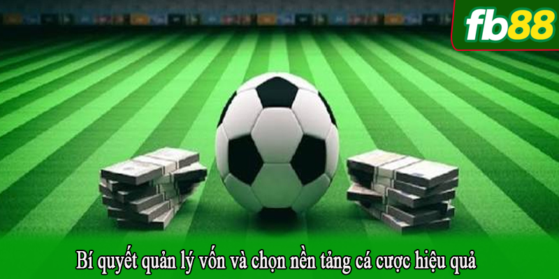 Bí quyết quản lý vốn và chọn nền tảng cá cược hiệu quả